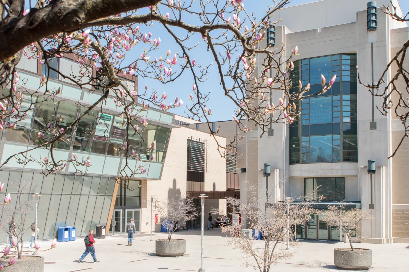 McMaster University campus in Hamilton